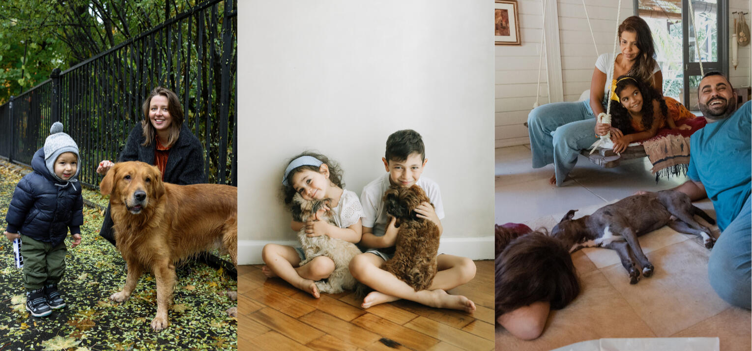 The Canine Crusade of America