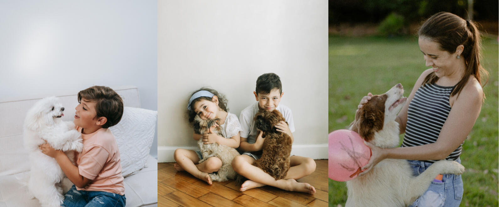 The Canine Crusade of America