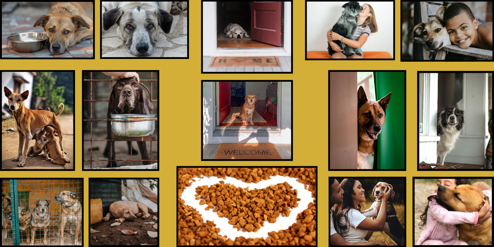 The Canine Crusade of America